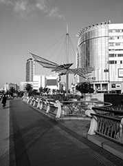 色尼公司注册